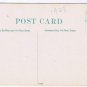 Oregon Postcard Chinese Pheasants Famous Oregon Game Bird 1908 Portland Postcard