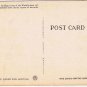 California Postcard San Francisco Steinhart Aquarium Golden Gate Park