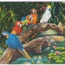 Florida Postcard Miami Parrot Jungle Freckles Romeo Juliet Queen & Duke