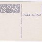 Florida Postcard Miami Parrot Jungle Susie Capupuchine Monkey Getting A Nut