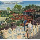 Florida Postcard Miami Parrot Jungle Walkway Flower Garden Flamingoes Swans