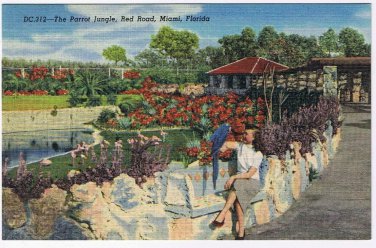 Florida Postcard Miami Parrot Jungle Walkway Flower Garden Flamingoes Swans