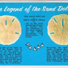 Florida Postcard Legend Of The Sand Dollar Holy Ghost Shell