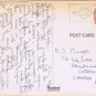 Florida Postcard Legend Of The Sand Dollar Holy Ghost Shell