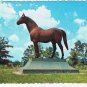 Kentucky Postcard Lexington Race Horse Man O War Monument