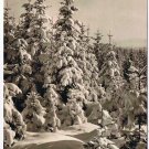 Germany Postcard RPPC Merry Christmas & Happy New Year