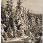 Germany Postcard RPPC Merry Christmas & Happy New Year