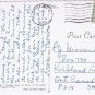 Florida Postcard Fort Myers Sausage Tree Edison Winter Home