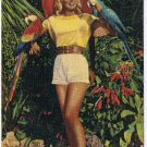 Florida Postcard Miami Parrot Jungle Map on Back