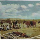 Art Postcard Huffman Photo Waiting For The Irons To Heat