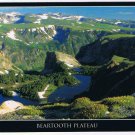 Montana Postcard Beartooth Plateau Rock Creek Canyon