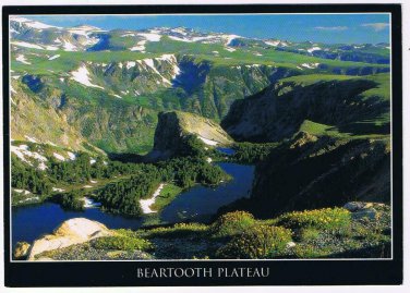 Montana Postcard Beartooth Plateau Rock Creek Canyon