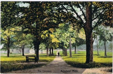 Postcard The Common Brimfield Massachusetts