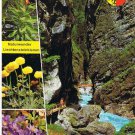 Austria Postcard Leichtensteinklamm bei St Johann im Pongau Eingang Waterfall