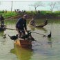 Postcard Fish Hawks Catching Fish China
