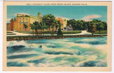 Ontario Postcard Niagara Falls Cataract House From Green Island