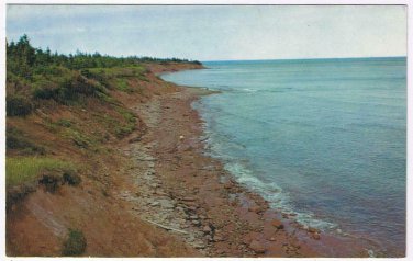 Prince Edward Island PEI Postcard Quiet Shoreline A