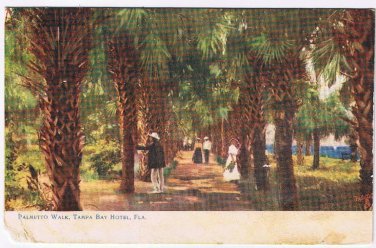 Florida Postcard Tampa Bay Hotel Palmetto Walk 1909