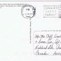 Tennessee Postcard Memphis Cotton Field White Gold