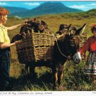 Ireland Postcard Galway Connemara Collecting Turf From The Bog