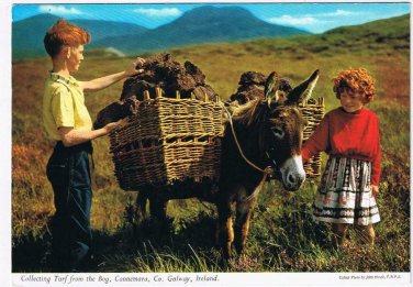Ireland Postcard Galway Connemara Collecting Turf From The Bog