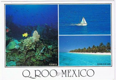 Mexico Postcard Q Roo Pamul Sian Ka'an