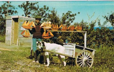 Postcard La Gasperie Typical Dogcart Gaspe North Shore Quebec