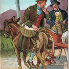 Ireland Postcard Comic Contrary Donkey Headed For Cork Take Me To Bandon