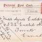 Ireland Postcard Comic Contrary Donkey Headed For Cork Take Me To Bandon