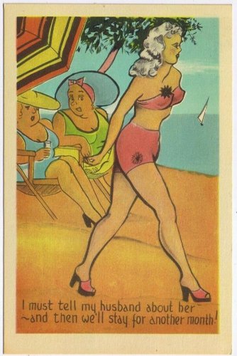 Postcard Comic Tell Husband About Her & We Can Stay Another Month
