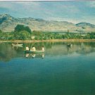 Postcard Van Acres Campsite Lake Osoyoos British Columbia Highway 3