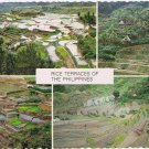Postcard Rice Terraces Of The Phillipines