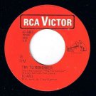 Ed Ames Try To Remember 45 Vinyl Love Is Here To Stay