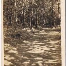 British Columbia BC Postcard Vancouver Lovers Lane Stanley Park 1910