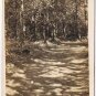 British Columbia BC Postcard Vancouver Lovers Lane Stanley Park 1910