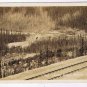 Postcard RPPC Lower Spiral Tunnell Field British Columbia