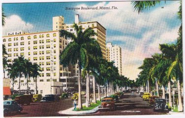 Postcard Biscayne Boulebard Miami Florida