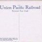 Postcard Deer Kaibab National Forest Cedar City Utah Via Union Pacific Railroad