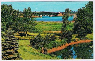 Prince Edward Island PEI Postcard Charlottetown Lily Pond At Bunbury Nursery