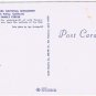 California Postcard Mill Valley Muir Woods National Monument Family Circle