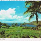 Postcard Keanae Peninsula On The Hana Road Maui Hawaii