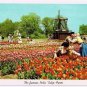 Holland Michigan Postcard Nelis Tulip Farm Kissing Couple Curteich 1955 5C-K2517