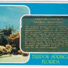 Florida Postcard Tarpon Springs Sponge Industry Sponges Greek Community