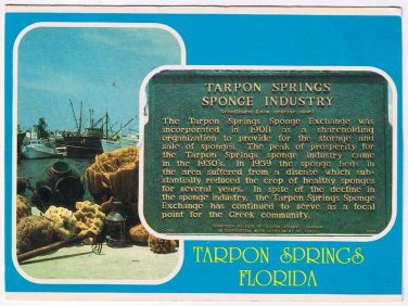 Florida Postcard Tarpon Springs Sponge Industry Sponges Greek Community