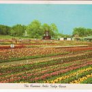 Michigan Postcard Holland Nellis Tulip Farm Lakewood Boulevard