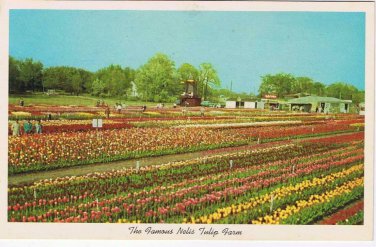 Michigan Postcard Holland Nellis Tulip Farm Lakewood Boulevard