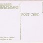 Michigan Postcard Holland Nellis Tulip Farm Lakewood Boulevard