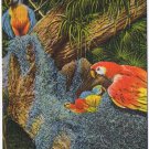Florida Postcard Miami Parrot Jungle Family Of Wild Macaws