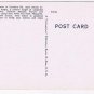 Florida Postcard Miami Parrot Jungle Two Macaws In Tree
