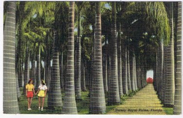 Florida Postcard Vero Beach McKee Jungle Garders Stately Royal Palms